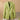 Ava Single-Breasted Tailored Blazer